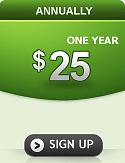 One Year Windows Hosting Plan